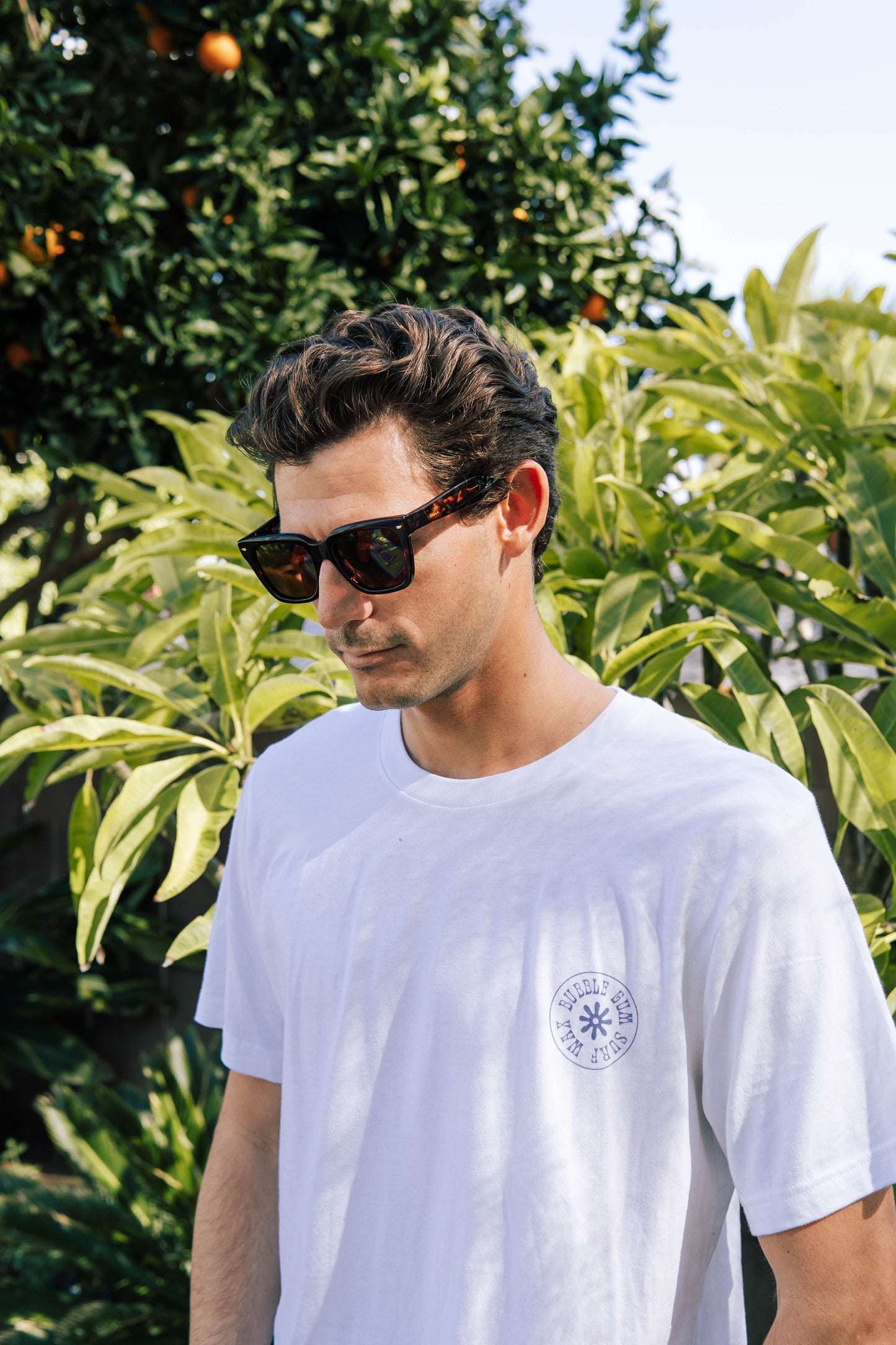 Ensea Sunglasses: Current: Tort With Bronze Lens