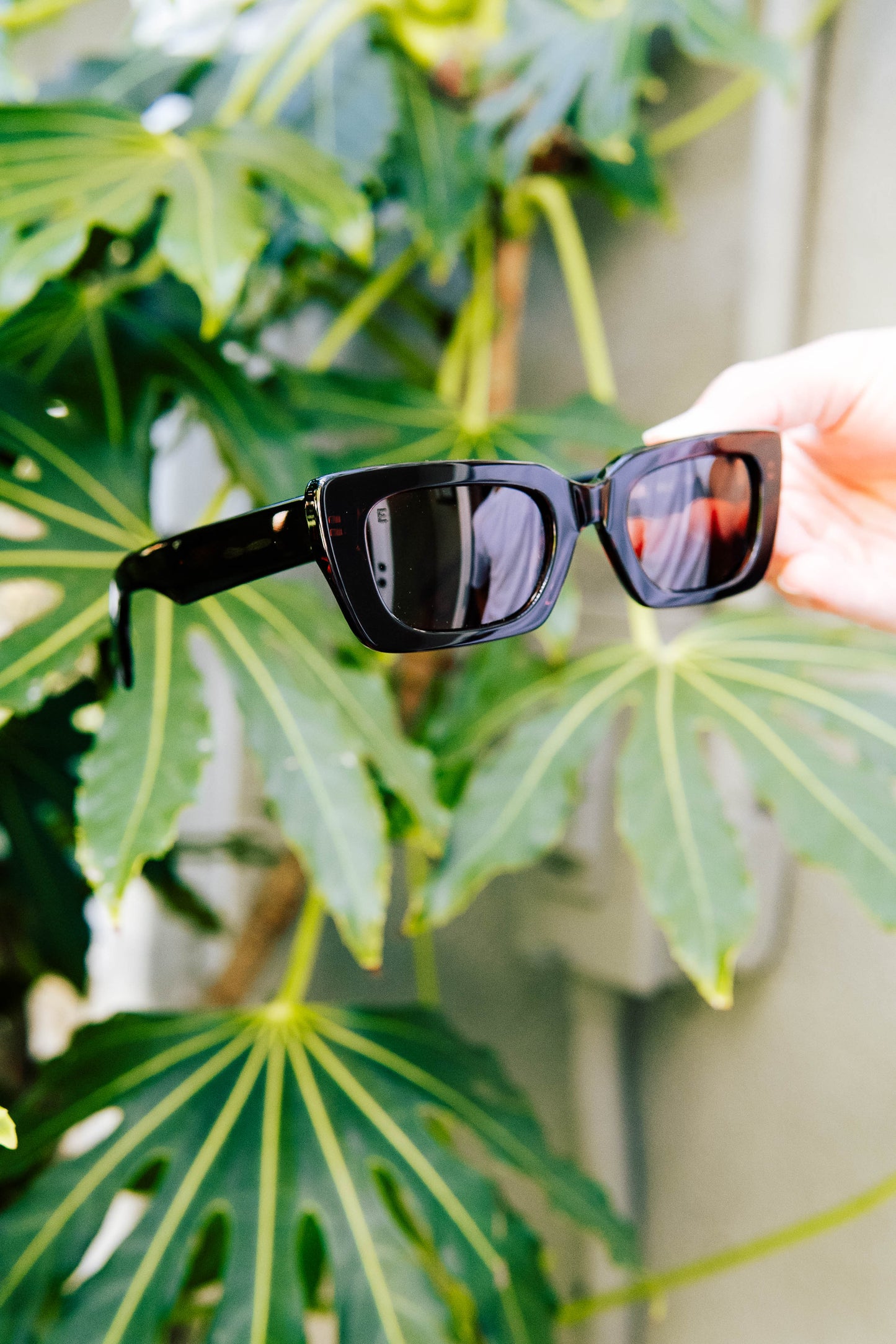 Ensea Sunglasses: Tiger's Blood: Burgundy Brown with Bronze Lens