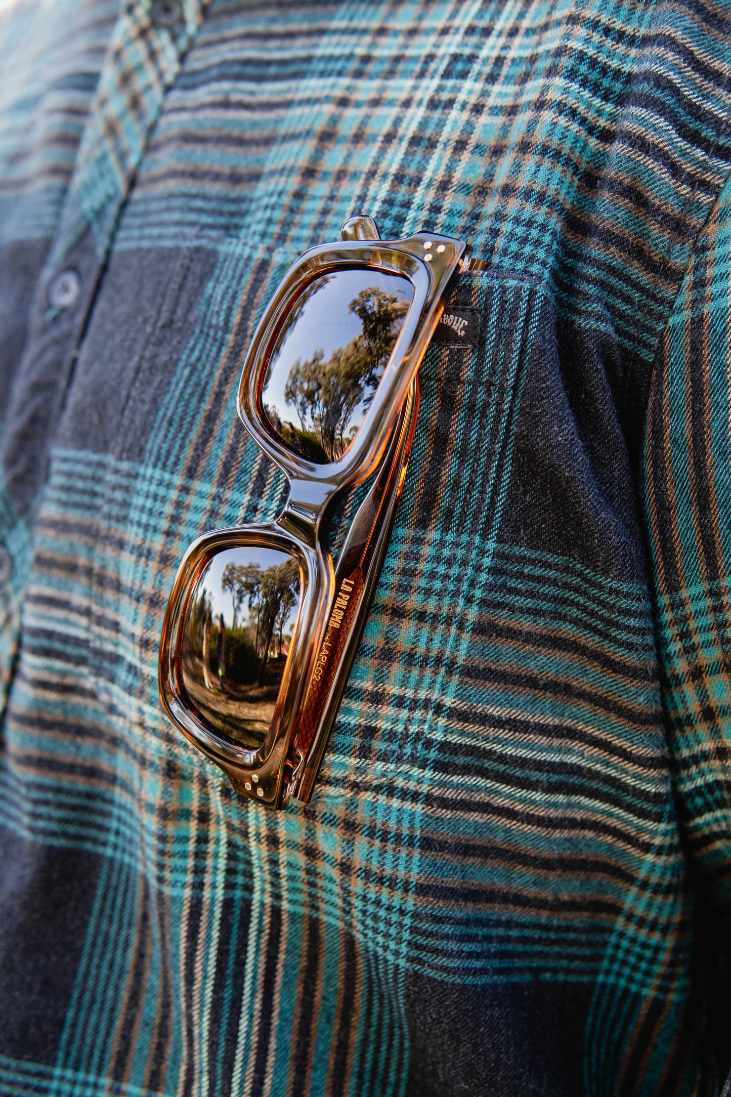 Ensea Sunglasses: La Paloma: Tort With Bronze Lens