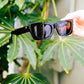 Ensea Sunglasses: Tiger's Blood: Burgundy Brown with Bronze Lens
