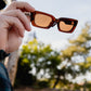 Ensea Sunglasses: Tiger's Blood: Burgundy Brown with Bronze Lens