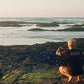 RADICAL 100% Recycled Surfboard Socks | Sustainable Surfboard Covers – SHRED Surf Company