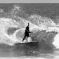 Taylor Knox ARC (S, M, L) - Apex