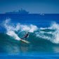 Taylor Knox Twin - Apex